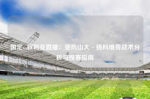 国足vs叙利亚直播：亚历山大·扬科维奇战术分析与观赛指南