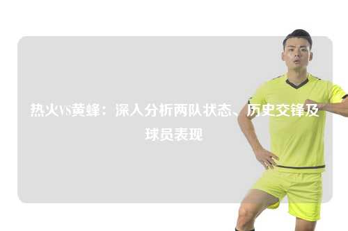 热火VS黄蜂：深入分析两队状态、历史交锋及球员表现