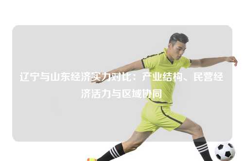 辽宁与山东经济实力对比:产业结构、民营经济活力与区域协同