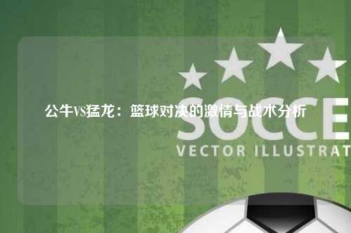 公牛VS猛龙：篮球对决的激情与战术分析