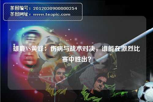 雄鹿VS黄蜂：伤病与战术对决，谁能在激烈比赛中胜出？