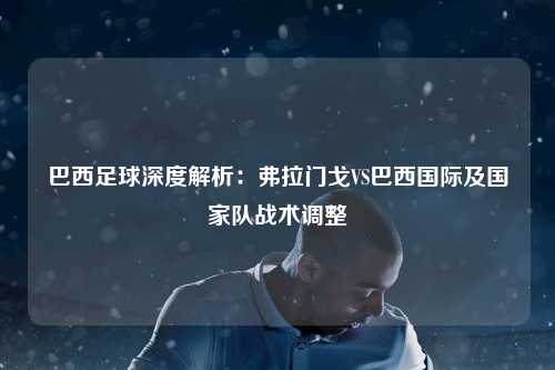 巴西足球深度解析:弗拉门戈VS巴西国际及国家队战术调整